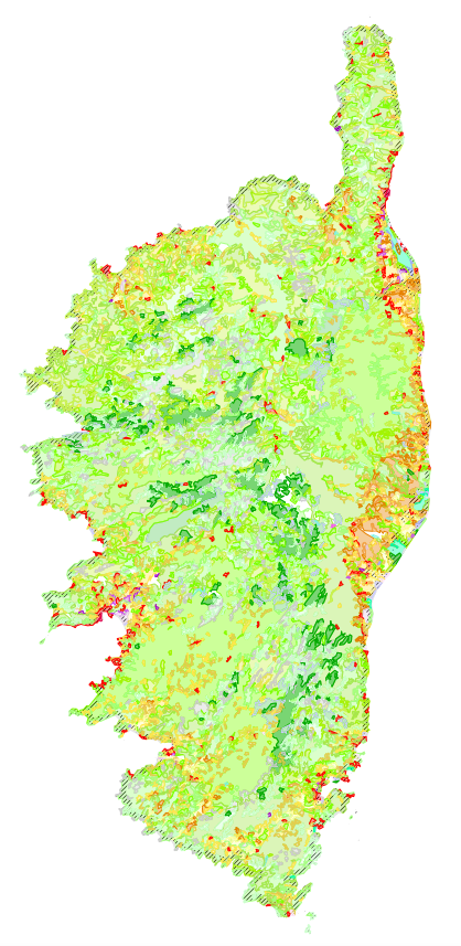 overview